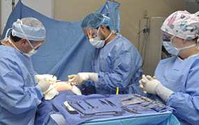 Surgical Technology Program