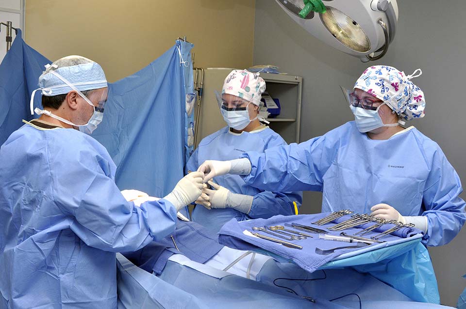 Surgical Technologists serve as vital members of the surgical team