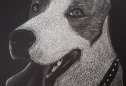 Drawing - Deliah Herrera - Black Paper Dog