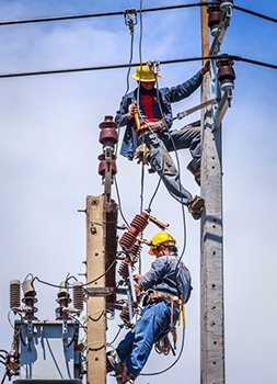 Power Line Worker