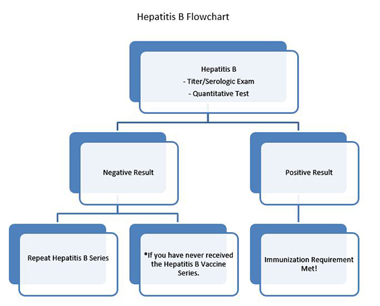 Hepatitis B Flowchart