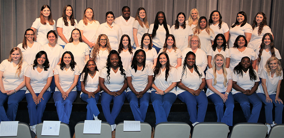 LVN Licensed Vocational Nurse Stars With Gold and Royal Blue 