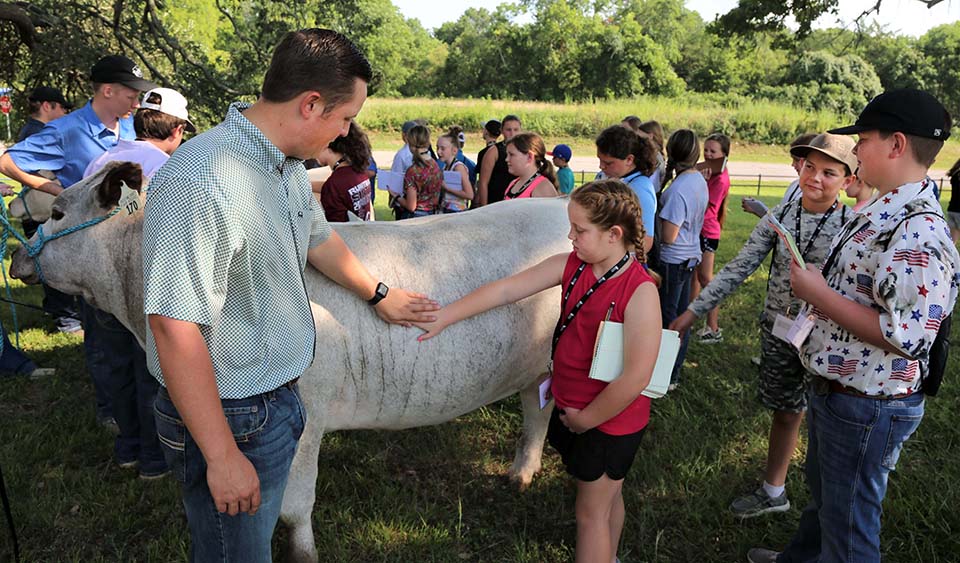 Novice, experienced camps attract more than 250 students