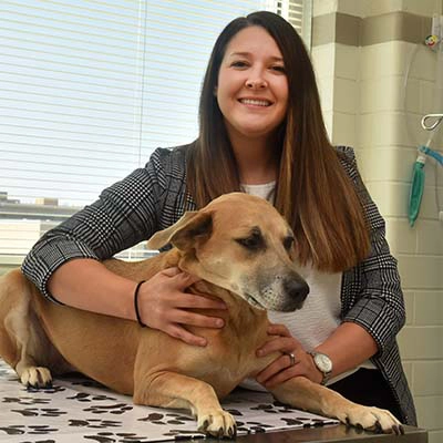 Blinn Veterinary Technology Program Director highlights the importance of accredited training programs