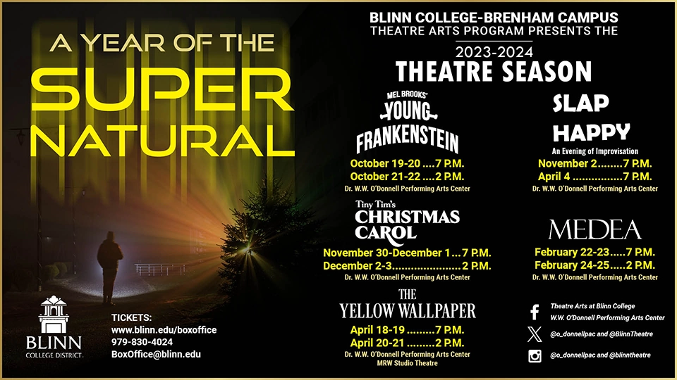 Productions include 'Young Frankenstein,' 'Tiny Tim’s Christmas Carol,' 'Medea,' and 'The Yellow Wallpaper'